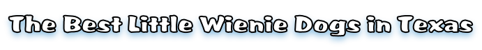 The Best Little Wienie Dogs in Texas